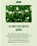 국산 삼백초 추출물 맥문동 복합물 파이토 정 36g, 3개 : 에이치딜리버리