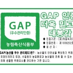 국산 하동 대봉 감말랭이 대봉감 악양골 무방부제 산지직송 특상품 800g : 쇼핑1스푼