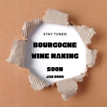 부르고뉴 탐구 episode. 1 비티컬쳐 : 포도공화국