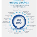(주)신세계푸드종근당바이오안산공장 | 온푸드 유산균 바이오 프로바이오틱스+프리바이오틱스 1세트 신바이오틱스 락토바실러스 유익균 : SMARTPET