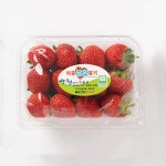 거창딸기 산청장희딸기 설향 고랭지 신데렐라 만년설 죽향 홍희 11월 흰딸기 논산 금실 킹스베리 생딸기 : 율이네과일가게