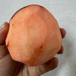 엔부 사과 피치 애플 백설공주 영주 복숭아 사과 문경 감홍 선물용 가정용 : 프레시 마트