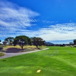 제주 엘리시안cc 라운드 골프 1인조인 2인조인 예약 가능 및 단체골프 예약 : 골프나라 Golf Nara