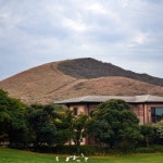 제주도 에버리스cc 골프장 1인조인 2인조인 가능 및 제주 단체골프 예약 가능 : 골프나라 Golf Nara