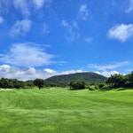 제주 엘리시안cc 라운드 골프 1인조인 2인조인 예약 가능 및 단체골프 예약 : 골프나라 Golf Nara