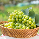 대경사과원예농협 샤인머스캣 2kg 박스 : 농협유통