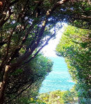 제주도패키지여행 오후출발 2박3일 버스투어 효도관광 홈쇼핑 단체여행 전세버스 미니버스대절 : 제주1번가여행사