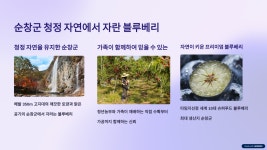 순창군 저당 블루베리 잼 순창 순한식탁 : 농부보따리