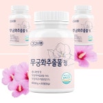 무궁화다이어트 무궁화정 산화스트레스 60정, 3개 : 바바터치