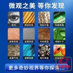 램프 현미경을 갖춘 휴대폰 돋보기 200배 고화질 : 다이렉트상점