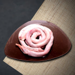 애견 강아지 화식 만들기 소우신 1kg 반려견 불리스틱 생식 자연식 사료 간식 보양식 재료 : 온리웰