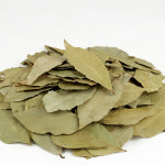 자연닮음 월계수잎 600g 향신료 : 자연닮음