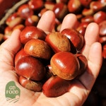 건담농수산 맛있는 공주 정안 옥광밤 대 농장 생율밤 토종 햇밤 알밤 : 건담농수산