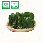 하늘농부유기농 깻잎 쌈채소 친환경 쌈깻잎 무농약이상 30g, 1개 : 하늘농부유기농