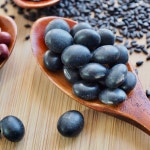 2025년 국산 단양 햇 서리태 농가직송 속청 검은콩 500g 1kg : 단양마늘전문 오종만농장