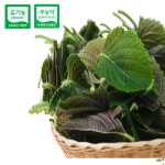 친환경 깻잎(30g) 무농약이상 : 하늘농부유기농