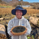 2025년 국산 단양 햇 서리태 농가직송 속청 검은콩 500g 1kg : 단양마늘전문 오종만농장