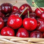 [특품] 고당도 생 체리 칠레산 항공직송 효능 칼로리 제철 빙체리 왕체리 : 명희공판장