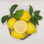 국내산 레몬 노란노랑 생레몬 3kg : 레몬나라