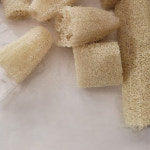 제로웨이스트 국내산 천연 수세미 만채농장 (약10-15cm) 4개-7개 랜덤 : 만채농장