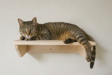 펫앤퍼니처 캣타워 원목 선반 캣워커 벽타워 국내제작 : 펫앤퍼니처