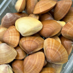 원일수산 부산 명지 명물 손질 갈미조개 500g, 1Kg : 원일 수산