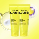 [2025 1등 트리트먼트] 프롬랩스 단백질 흡착 극손상모 헤어 클리닉 200ml, 2개 : 프롬랩스