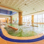 [경기 화성] 하피랜드 워터파크 이용권 : T-bridge