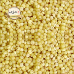 [가온애] 찰기장 500g x2봉 / 잡곡 혼합곡 기장 기장쌀 국산기장 국산잡곡 잡곡쌀 슈퍼푸드 잡곡류 : 가온애
