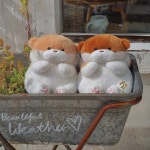 우소우소짱 크리스마스 인형 동물 수달 귀여운 우소우소 27cm : 토이돌스