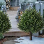 크리스마스 소품 장식 트리 인테리어 카페 겨울 산타 루돌프 조명 인형 솔방울 인조 삼나무 토피어리 나무 지지대가 있는 인조... 