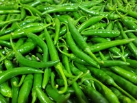 청양고추 고추 생고추 1kg 농장직송 : 땅끝현산농원