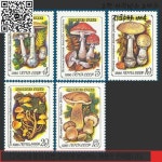 5개/대 새로운 CCCP 우표 1986 유독 한 버섯 USSR MNH : 지안총판