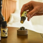 호두 브리즈볼 아로마오일 확산 우드 디퓨저 원목 발향기 : 가든데이즈