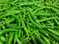 청양고추 고추 생고추 1kg 농장직송 : 땅끝현산농원