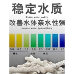 산호초 커피 산호 해수어 여과제 큐브 해수뼈 물갈이 걸이식 엄선된 산호골 50근 통가방 망가방 : 마농12