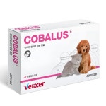 벨릭서 코발러스 영양제 30하드캡슐 비타민B12 보충제 비타민B(1,3,6) 보충 : 가온동물병원