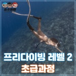 프리다이빙 레벨2 : 숨수지마 프리다이빙