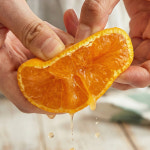 [제주 산지직송] 고당도 노지감귤 레드향 천혜향 한라봉 3kg 5kg 10kg  조생귤 제주이모 농장 : freshfarmers