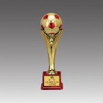 축구 트로피 제작 소량 대회 우승 우승컵 : 오늘상패