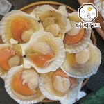 냉동 가리비 1.8kg 반가리비 반탈각 하프 업소용 조개구이 캠핑 : 더.씨푸드