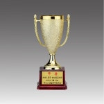 우승 트로피 제작 우승컵 축구 태권도 배드민턴 시상식 : 오늘상패