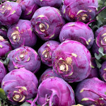 제주 콜라비 효능 고당도 적콜라비 햇콜라비 먹는법 제철 5kg 10kg : 오드리옷짱