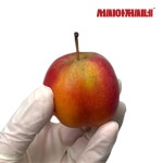 서씨네 영주 별사과 미니사과 못난이 고당도 농장직송 : 서씨아저씨네