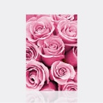 수재샵 보석십자수 핑크장미 40X60cm 라운드+AB큐빅 DIY 비즈십자수 : 보석십자수수재샵대구지점