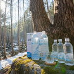 인제 미산 고로쇠수액 고로쇠물 1.5L, 6개 : 강원곳간