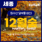 [세종- 6인] 12월 어린이 세종 숲체험 교실_원수산 달메뜰근린공원 : 모뽀리포레