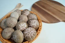 가원이네 생 표고버섯 : 표고농장 가원이네