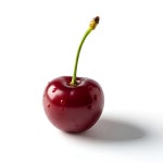 체리 [MY BASKET] : 마이바스켓 MYBASKET