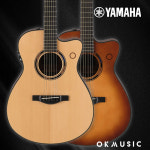 야마하 TAS3C 트랜스어쿠스틱기타 루프탭 장착 : 오케이뮤직 주식회사